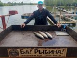 IMG_0041.jpeg