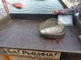 IMG_0036.jpeg