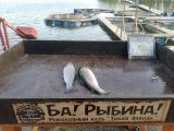 IMG_0038.jpeg