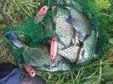 IMG_20220702_074505.jpg