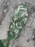IMG_5986.jpeg