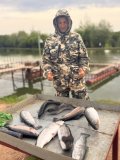 IMG_2511.jpeg