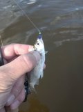 IMG_20250516_173628.jpg