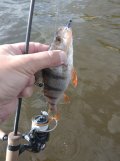 IMG_20250516_164016.jpg