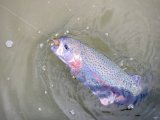 IMG_4857.jpeg