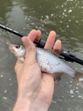 IMG_7670.jpeg