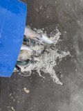IMG_3991.jpeg