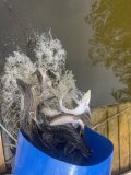 IMG_4016.jpeg