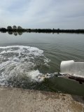 IMG_0413.jpeg