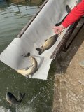 IMG_0428.jpeg