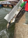IMG_0437.jpeg