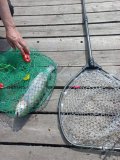 Изображение хрюхрюp 2025-05-17 в 10.40.59_8b5603af.jpg