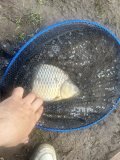IMG_9440.jpeg
