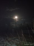 IMG_20250510_233116.jpg