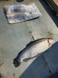 IMG_2628.jpeg