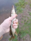 IMG_20250518_055841.jpg