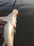 IMG_20250518_064116.jpg