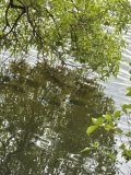 IMG_2352.jpeg