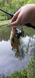 IMG_20250518_155523.jpg