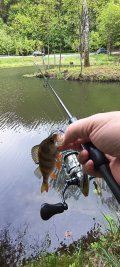 IMG_20250518_160316.jpg