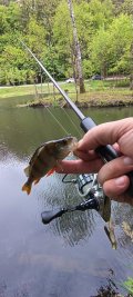 IMG_20250518_162308.jpg
