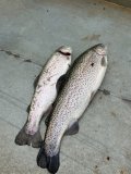 IMG_2758.jpeg