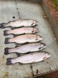 IMG_2777.jpeg
