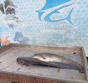 IMG_20250518_200226_494.jpg