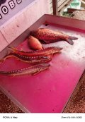 IMG_20250518_200819_219.jpg