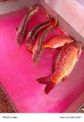 IMG_20250518_200819_102.jpg