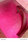 IMG_20250518_200852_227.jpg