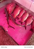 IMG_20250518_201047_806.jpg