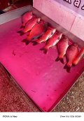 IMG_20250518_201033_991.jpg