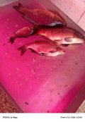 IMG_20250518_201005_363.jpg