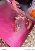 IMG_20250518_200949_026.jpg