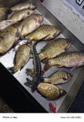 IMG_20250518_204953_279.jpg