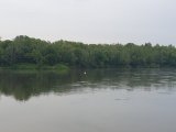 20250517_052359.jpg