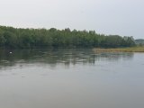 20250517_052406.jpg