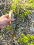 IMG_20250518_185133.jpg