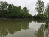 570E7140-3357-4D46-AB91-A172C66AE8E4.jpeg