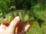 IMG_3303.jpg