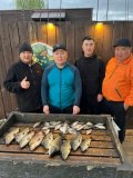 Изображение хрюхрюp 2025-05-19 в 18.37.04_f1e9cf8a.jpg