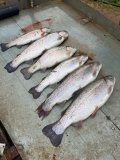 IMG_2824.jpeg