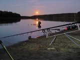 IMG_20240920_192132.jpg