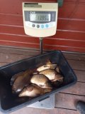 IMG-20250519-WA0060.jpg