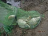 IMG-20250519-WA0061.jpg