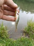 IMG_20250519_155545.jpg