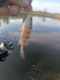 IMG_20250519_185843.jpg