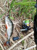 IMG_20250519_172939.jpg