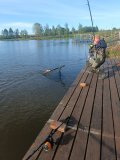 IMG-20250520-WA0007.jpg